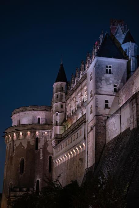 Le Concorde En Plein Centre Lägenhet Amboise Exteriör bild